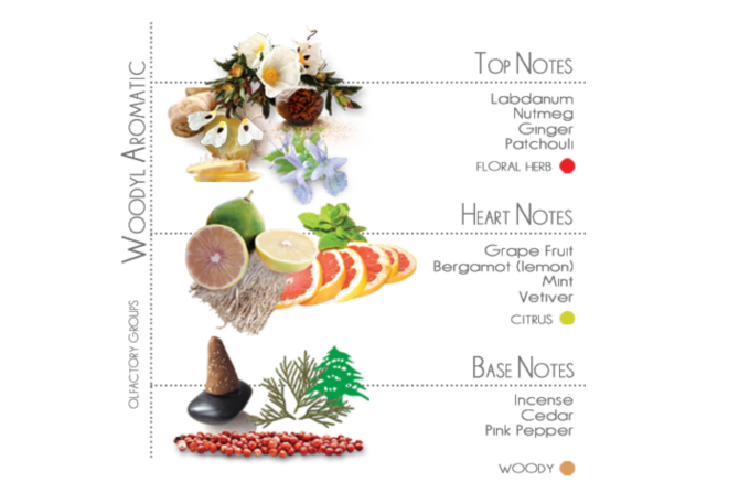 Notes Parfum